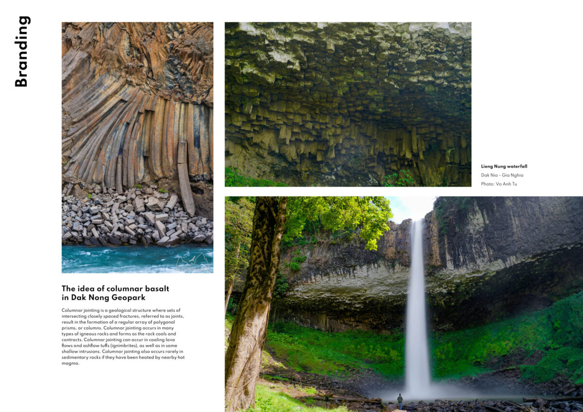 Porfolio7